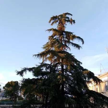 111 Бари